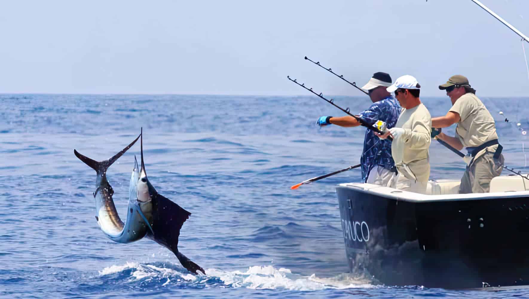 Featured image for “Costa Rica Fishing: 30 Frequently Asked Questions”