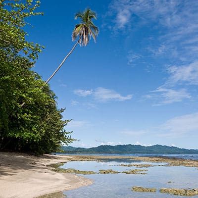 Vacation to Costa Rica | Tico Travel