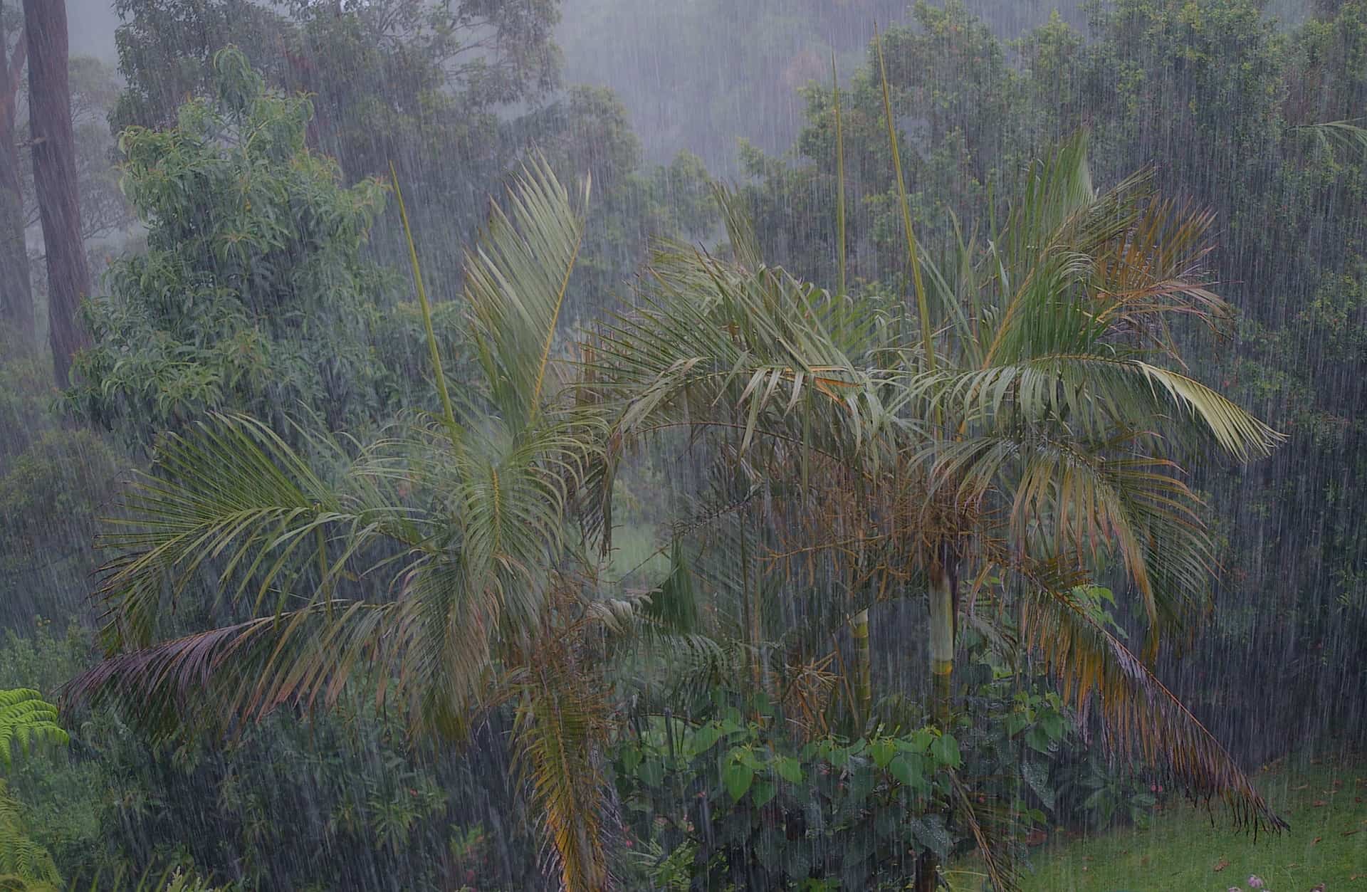 What is the typical weather in Costa Rica? Tico Travel