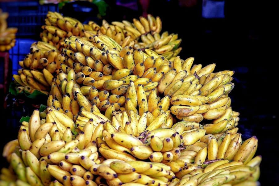 Where are Bananas Grown in Costa Rica? Tico Travel