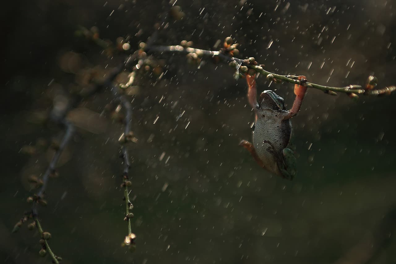 Featured image for “11 Things To Do in Costa Rica During The Rainy Season”