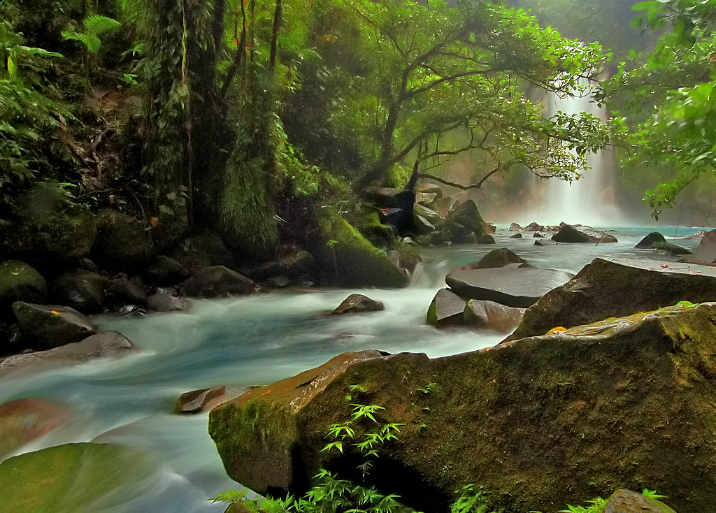 Featured image for “Rio Celeste Waterfall: Visiting Costa Rica’s Blue Gem”