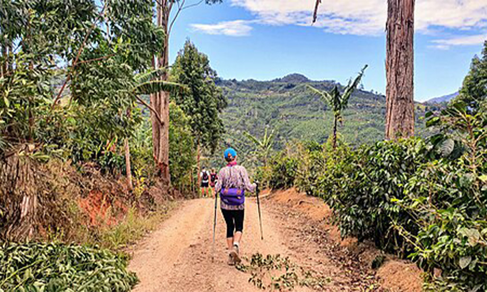 Featured image for “Hiking Across Costa Rica on El Camino Trail”