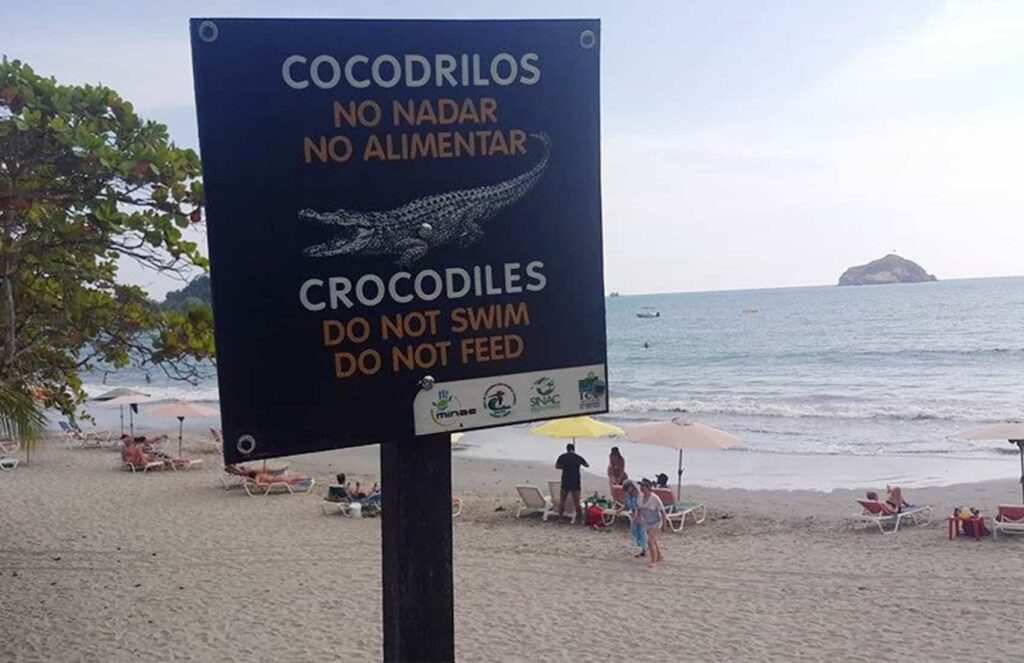Surfing with Crocodiles in Costa Rica