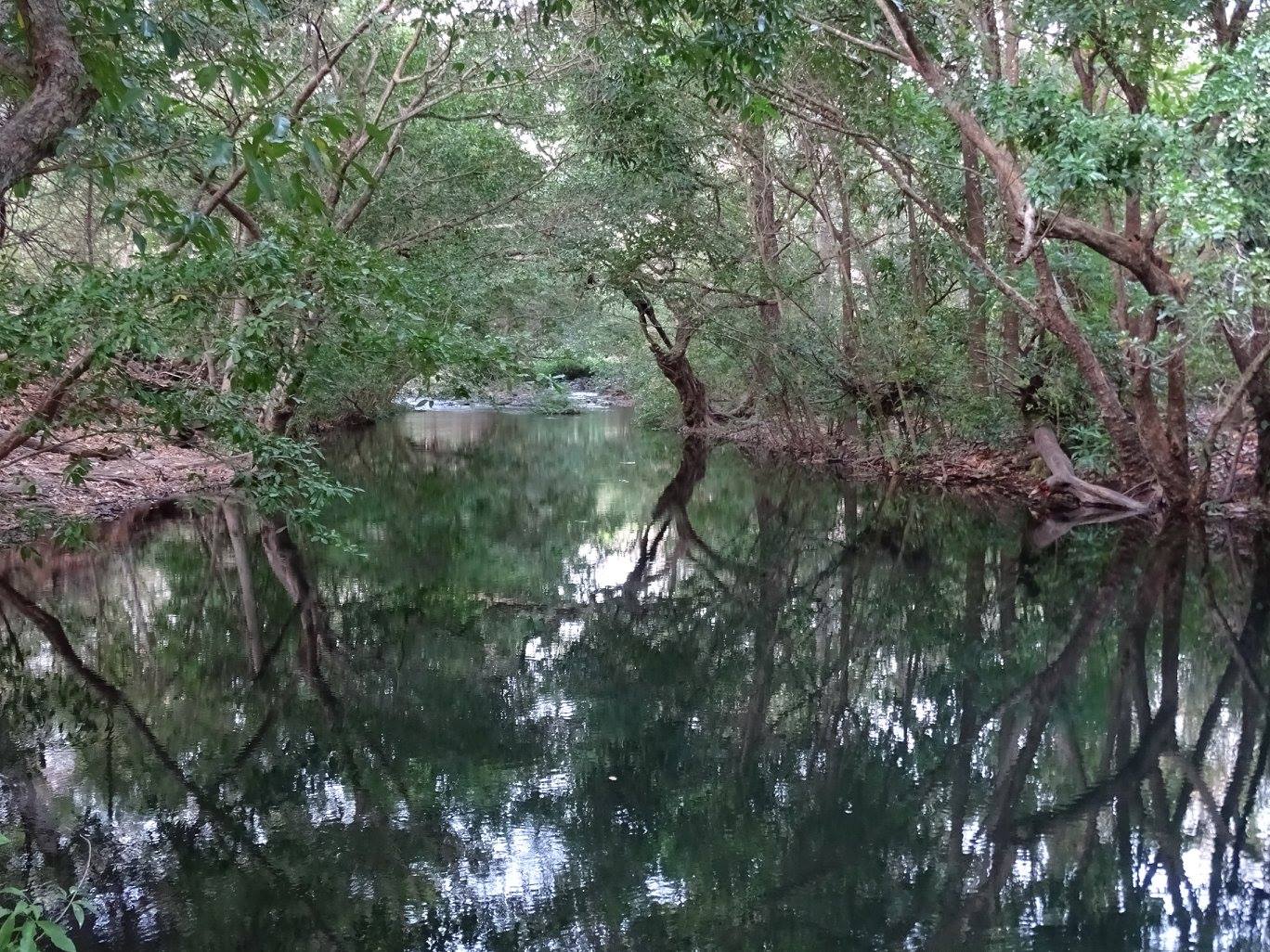 Featured image for “Visiting Lomas Barbudal Biological Reserve in Costa Rica”
